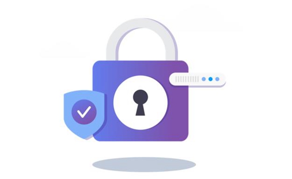 域名安全锁与 SSL 保障