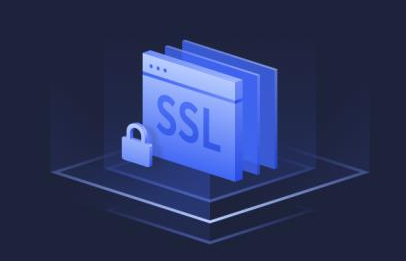 域名安全锁与 SSL 保障