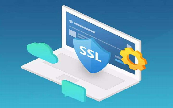 域名访问的 SSL 加密验证