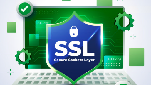 SSL 证书防止域名仿冒
