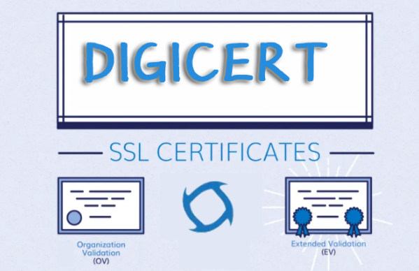 知名 CA 机构（如 DigiCert、Sectigo 等）